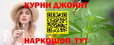 крисы Кингисепп