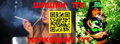 крисы Кингисепп