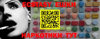 крисы Кингисепп