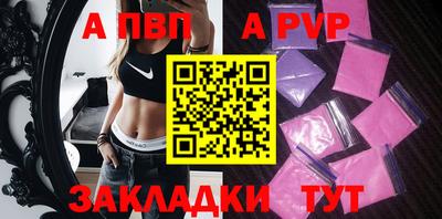 крисы Кингисепп