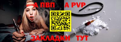 крисы Кингисепп