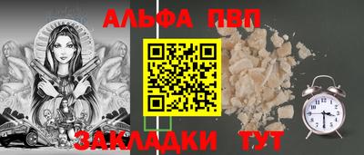 крисы Кингисепп