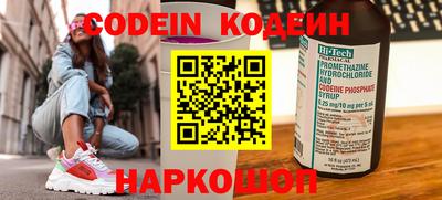 крисы Кингисепп