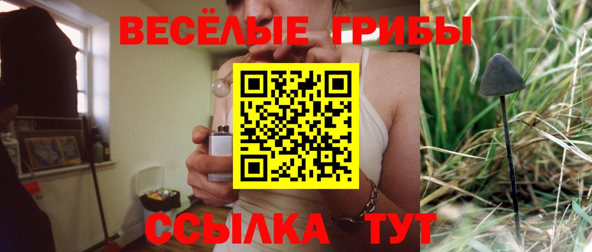 Красный Сулин  Галлюциногенные грибы MAGIC MUSHROOMS  Вход с VPN 
