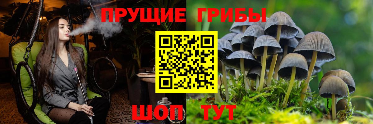 Псилоцибиновые грибы мухоморы Красный Сулин